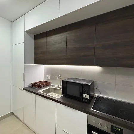 I&i Tesla Ii 公寓 克拉古耶瓦茨