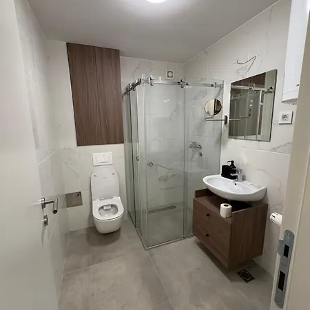 I&i Tesla Ii * Kragujevac